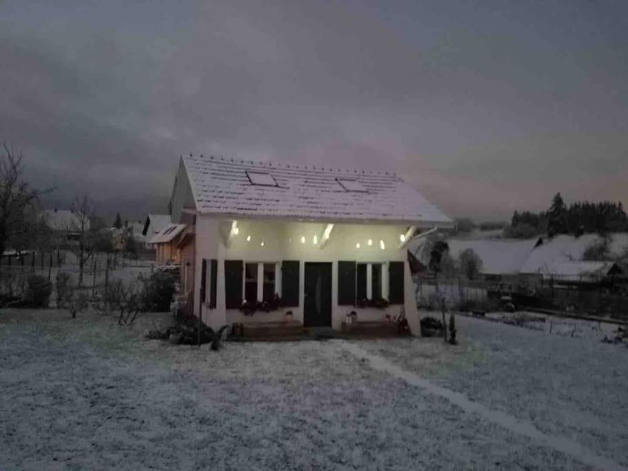 Gite Le Charmot, Au Pied Des Montagnes Classe 3* Roderen Екстериор снимка