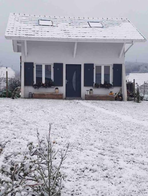 Gite Le Charmot, Au Pied Des Montagnes Classe 3* Roderen Екстериор снимка