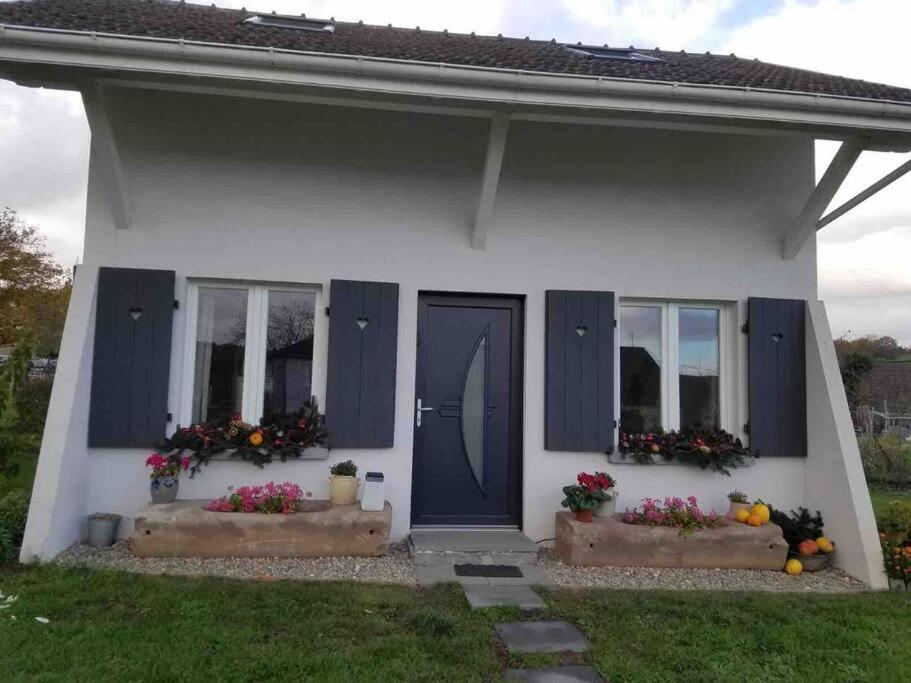 Gite Le Charmot, Au Pied Des Montagnes Classe 3* Roderen Екстериор снимка